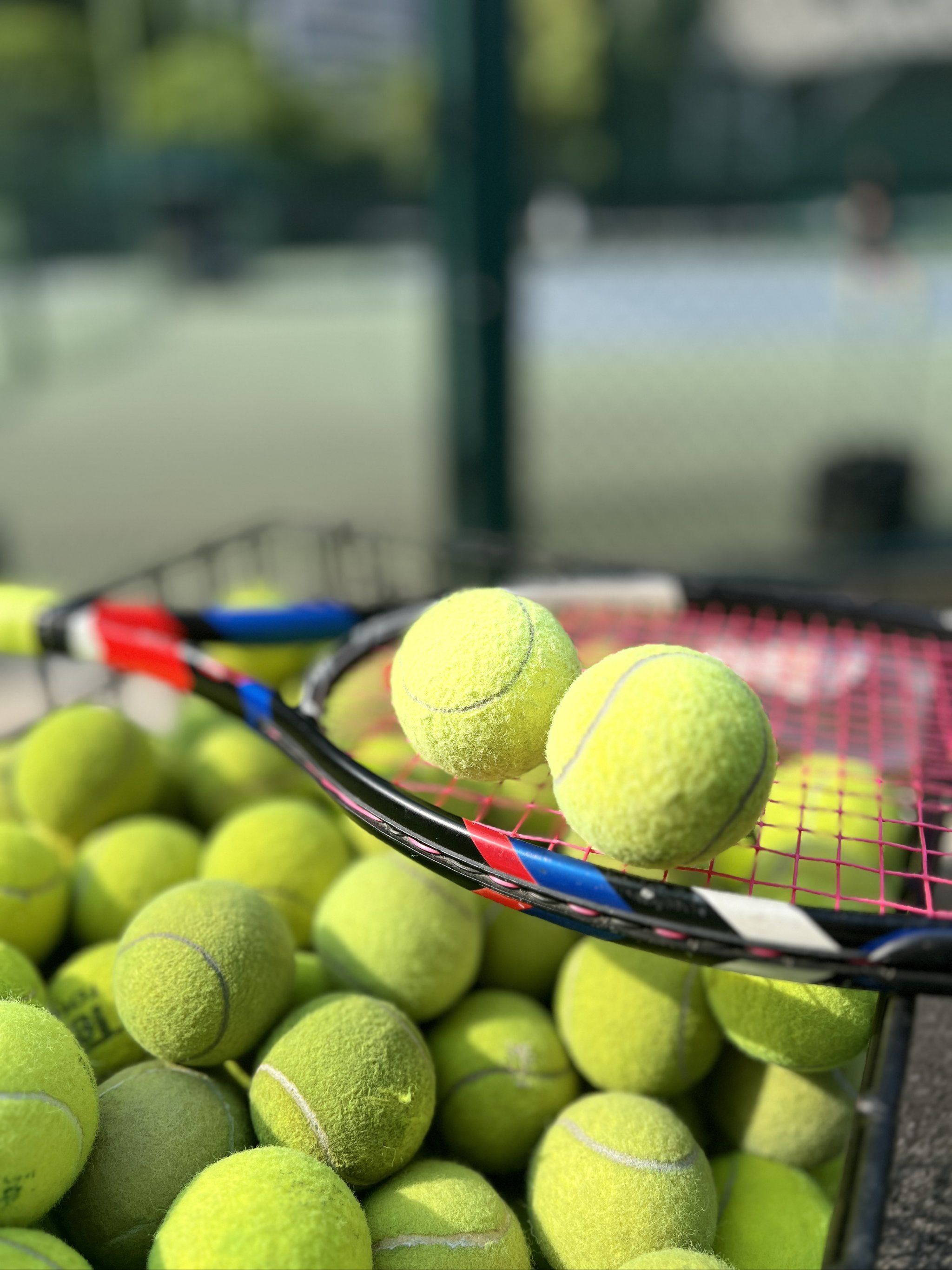 对他们的赞 对他们的赞