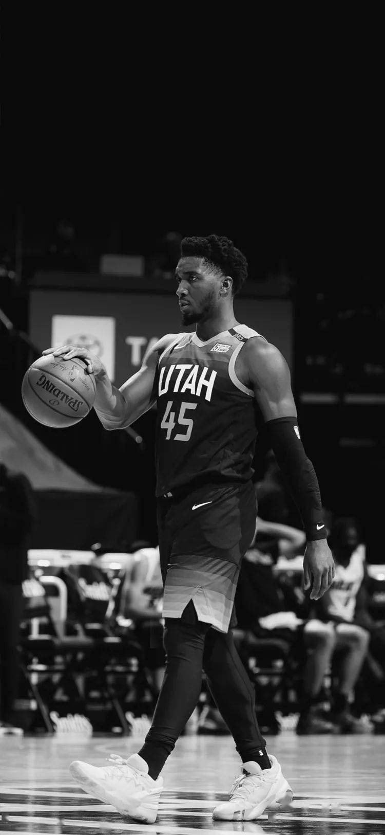 球队正稳步 球队正稳步