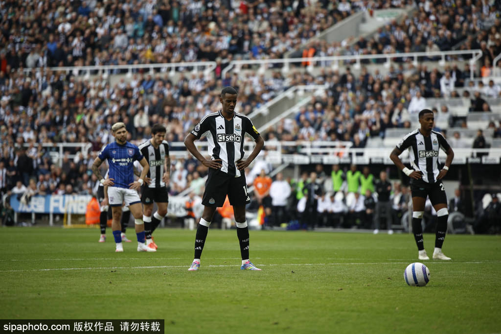 稳健到底会 稳健到底会