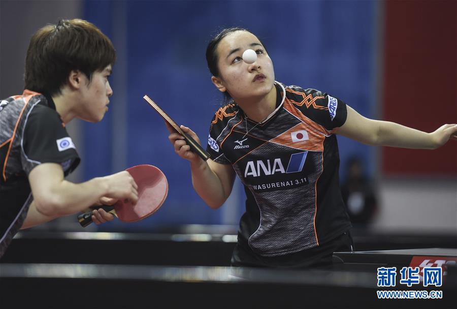 厦门国际动 厦门国际动